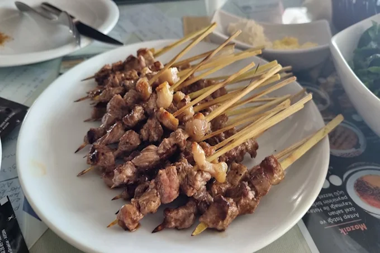 Germencik Çöp Şiş